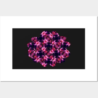 Midnight Flowers - Pretty Pink flowers on Black Pattern Posters and Art